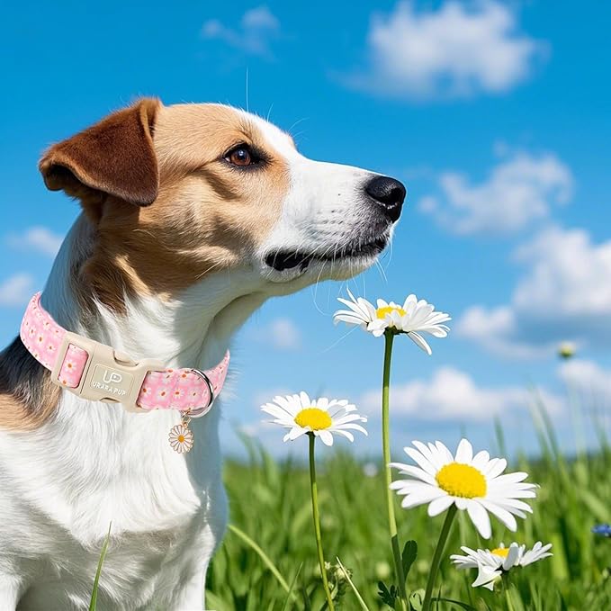 Pet Collar-Summer Daisy Dog Collars-Pink Grid Puppy Collar-Adjustable, Sturdy & Cute Girl Boy Dog Collars for Outdoor Fun