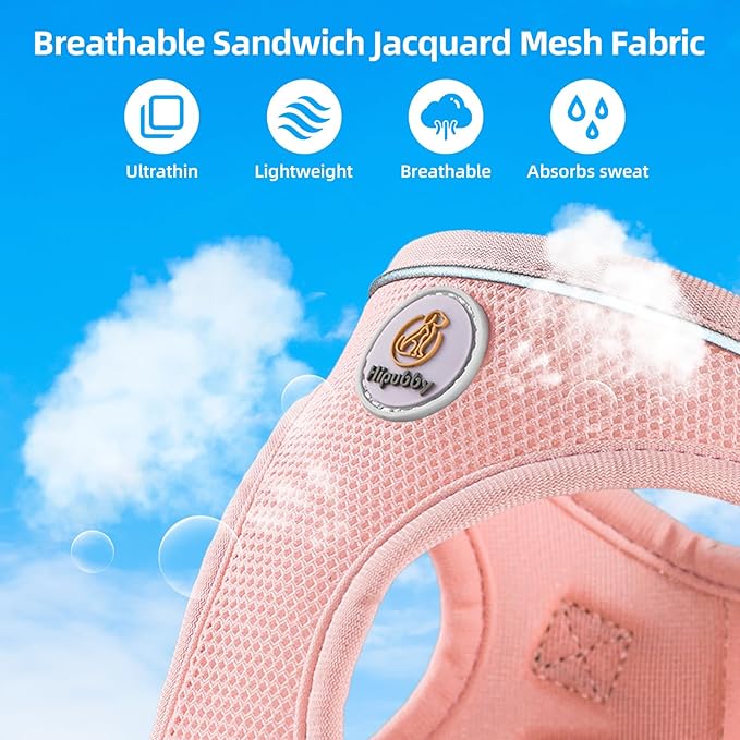 Dog Harness and Leash Set, No Pull Soft Mesh Pet Harness for Small Medium Dogs, Cats - Step in Adjustable Reflective Puppy Harness with Buckle and Double D-Rings - Pink, M
