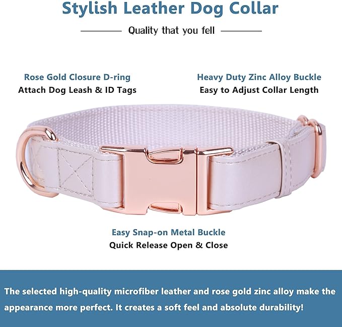 Soft Leather Dog Collar and Leash (6.6') Set - Stylish Rose Gold Heavy Duty Metal Buckle, 4 Adjustable Lengths Leash for Small Medium Large Dogs - Comfortable & Easy to Clean S(12.2"-16.9"), Gold Pink
