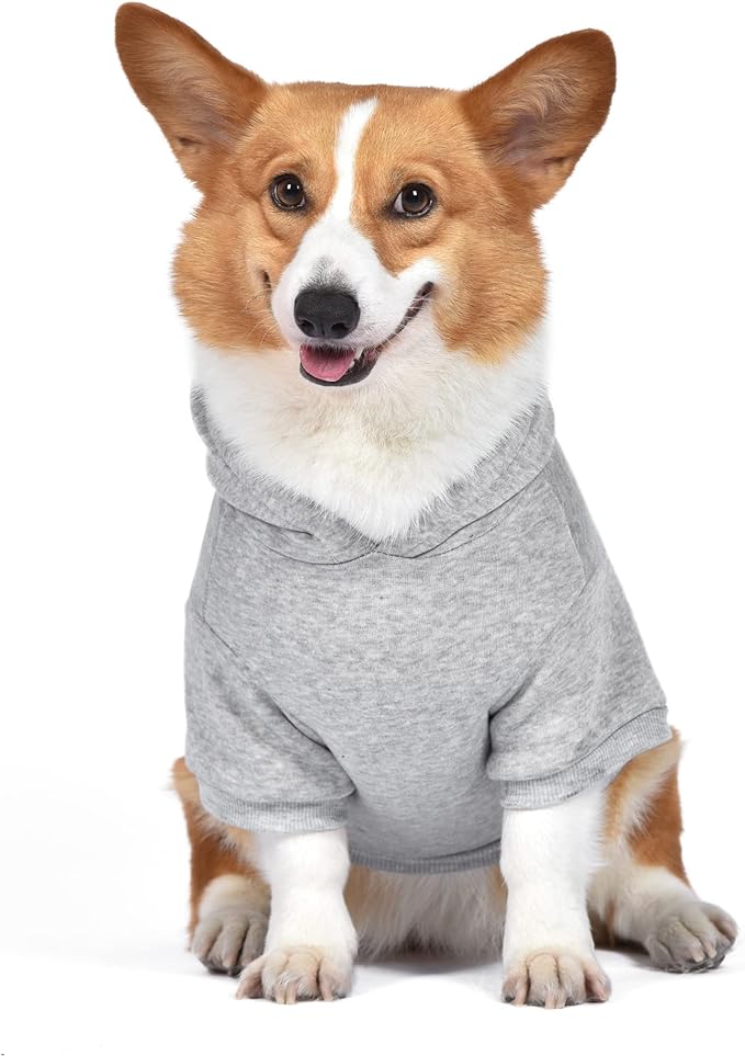 STAR WARS for Pets The Mandalorian Hoodie for Dogs with Leash Attachment Hole, Medium| Star Wars Apparel for Dogs | Cozy Hooded Sweatshirt for Dogs, Gifts for Star Wars Fans