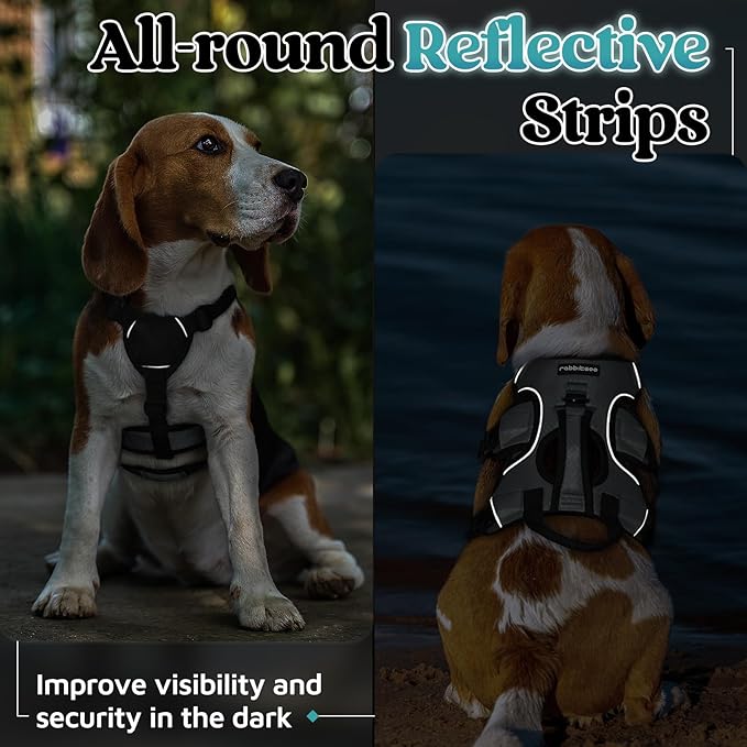 rabbitgoo Escape Proof Dog Harness, Soft Padded Full Body Pet Harness, Reflective Adjustable No Pull Vest with Lift Handle and Leash Clip for Large Dogs Walking Hiking Training, S, Grey