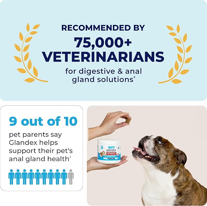 Vetnique Glandex Anal Gland Soft Chew Treats with Pumpkin for Dogs Digestive Enzymes, Probiotics Fiber Supplement for Dogs Boot The Scoot (Advanced Strength Duck/Bacon Chews (Vegetarian), 120 Ct)