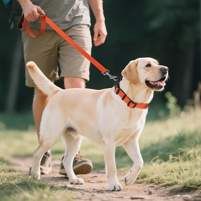 Joytale Reflective Dog Collar,Soft Neoprene Padded Breathable Nylon Pet Collar Adjustable for Extra Large Dogs,Orange,XL