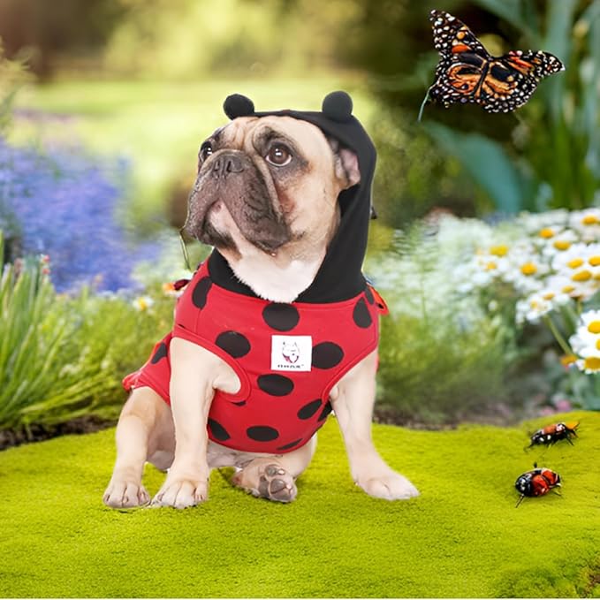 iChoue I am a French Bulldog Ladybug Ladybird Lady Beetle Costumes Hoodies Sleeveless Clothes Outfits Cosplay Shirts for Small Dogs Frenchie Pug English Boston Puppy - Black and Red, Medium