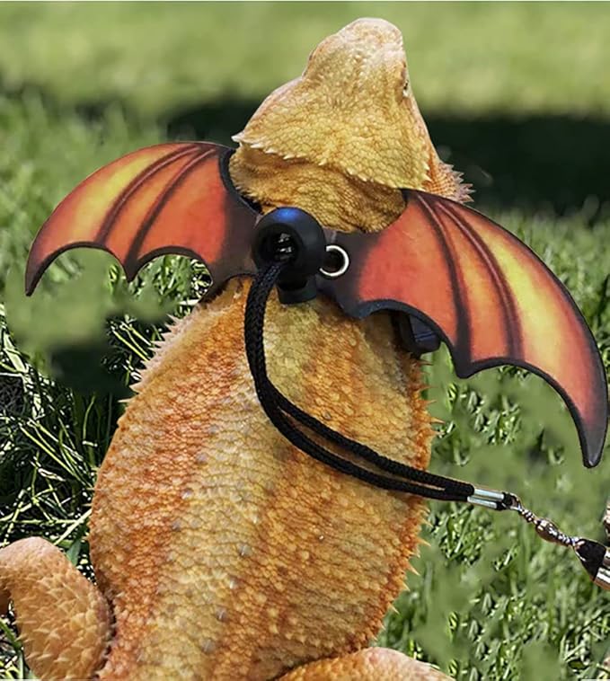 Bearded Dragon Lizard Leash Harness - Adjustable Dinosaur Wing Lizard Cool Leather Wings Safety Walking Leash (S,M,L,3pack)