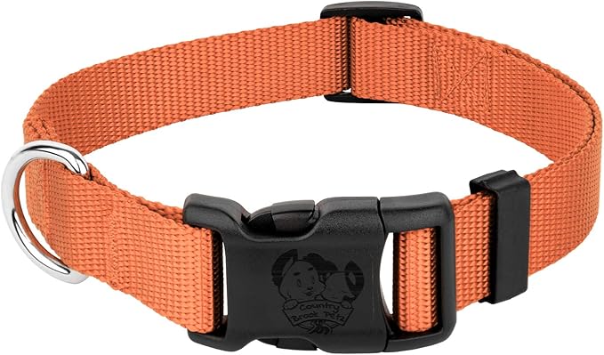 Country Brook Petz - American-Made Dog Collar for Large, Medium, and Small Dogs and Puppies - Deluxe Heavy Duty Nylon in 33 Dazzling Colors (Small, 3/4 Inch Wide, Coral)