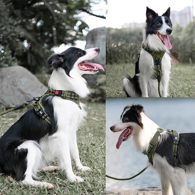PoyPet No Pull Dog Harness and 5 Feet Leash Set, Release on Neck Reflective Adjustable Pet Vest, Front & Back 2 D-Ring and Soft Padded Pet Harness with Handle for Small to Large Dogs(Military Green,S)