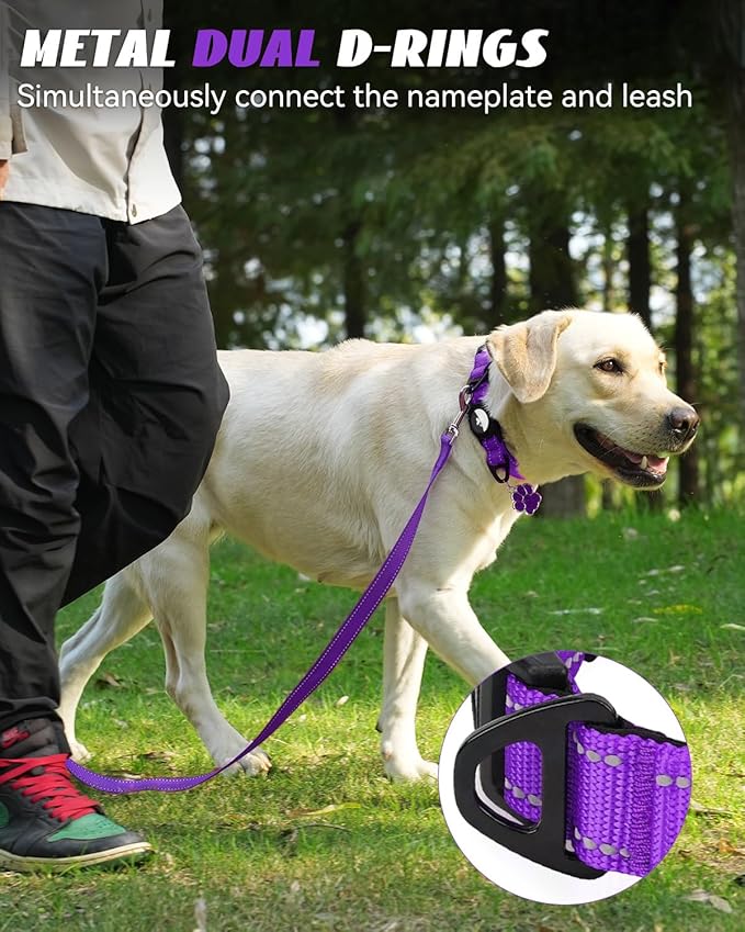 Joytale Airtag Dog Collar, Dual D-Rings, Reflective Pet Collar with Waterproof AirTag Holder, Soft Padded Adjustable for Medium Dogs, Purple, M