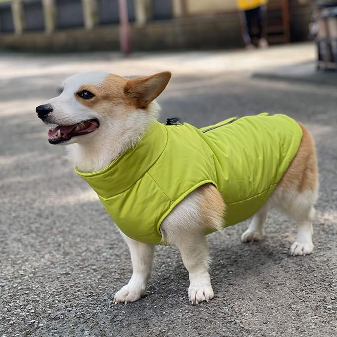 Winter Vest for Dogs - Waterproof, Ultra Warm, Windproof Zippered Jacket with Cotton Lining, Breathable, Soft Coat for Small, Medium, Large Dogs - Green