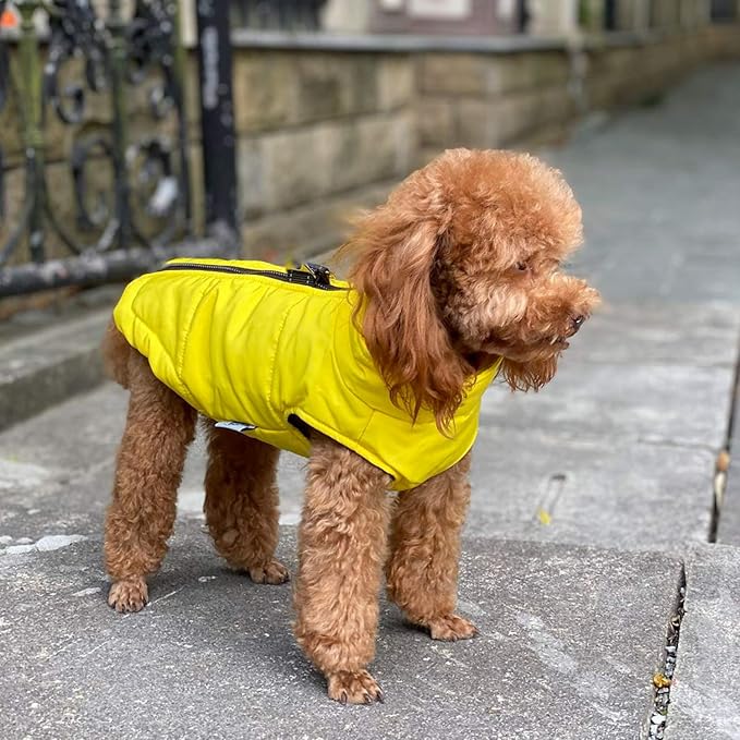 Winter Vest with Cotton Lining, Waterproof Ultra Warm Dog Coat, Windproof Zippered Jacket, Breathable Soft Coat for Small Medium Large Dogs, Yellow XS