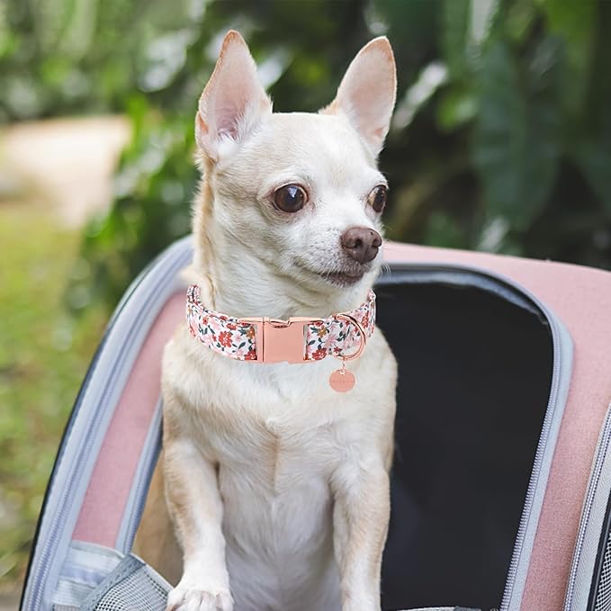 Dog Collar for Summer,Little Flower Dog Collar,Cotton Puppy Collar with Adjustable Buckle for Small,Medium,Large Girl Boy Dog, PinkYe CC