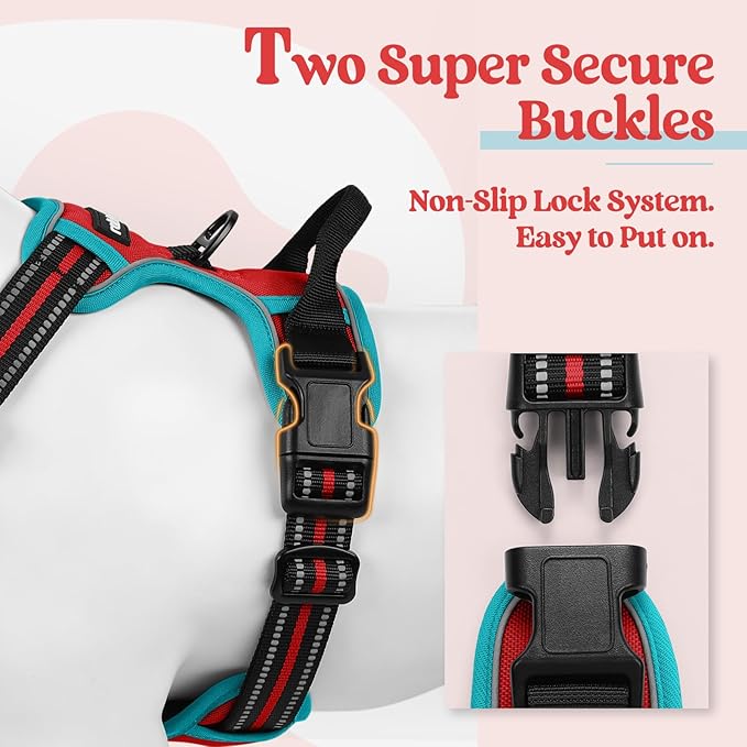rabbitgoo Dog Harness No Pull with 2 Leash Clips, Adjustable Soft Padded, Reflective Oxford No Choke Pet Vest with Easy Control Handle for Large Dogs, Red & Teal, XL