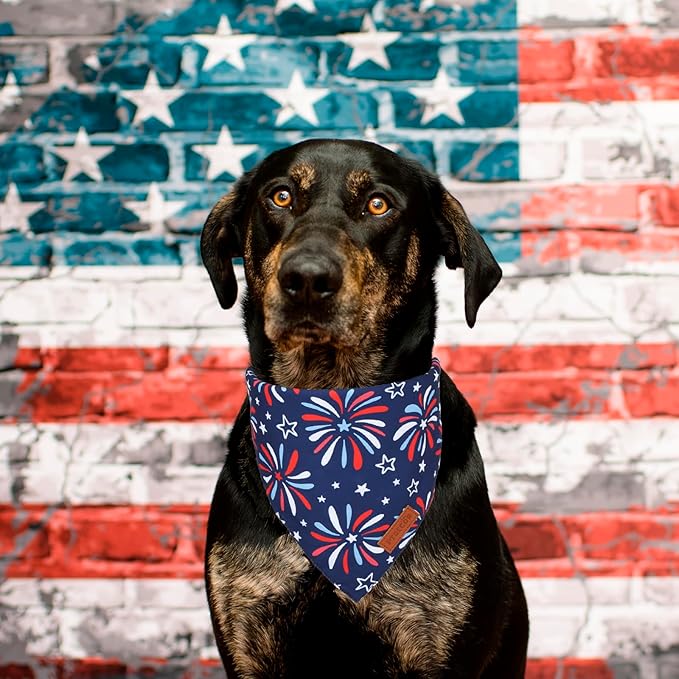 PTDECOR American Flag Dog Bandana 4th of July Dog Scarf Reversible Red Blue Patriotic Bandanas for Medium Large Dogs Pets (Blue & Red, Large)