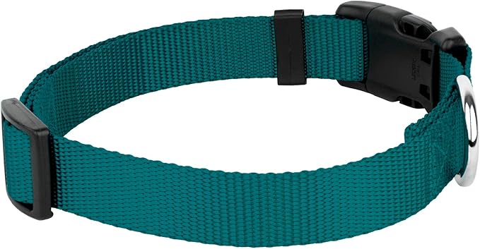 Country Brook Petz - American-Made Dog Collar for Large, Medium, and Small Dogs and Puppies - Deluxe Heavy Duty Nylon in 33 Dazzling Colors (Extra Small, 3/8 Inch Wide, Teal)