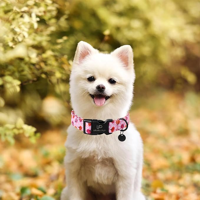 Halloween Pumpkin Dog Collar,Lightweight Pink Halloween Puppy Collar with Plastic Buckle,Fancy for Dogs,Suitable for Small Medium Large Girl or Boy Dogs