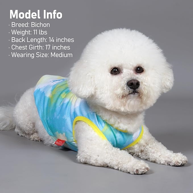 KYEESE 2 Pack Dog Cooling Shirts for Summer Breathable Instant Cooling Dog Vest for Small Dogs Lightweight Sleeveless Vest Soft Quick Dry Puppy Shirt Great for Outdoor Activities