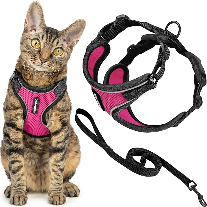 Voyager Escape Proof Cat Harness and Leash set with Reflective Stitching, Neoprene Handle 5ft - Supports Small, Medium and Large Cats, Kittens for walking by Best Pet Supplies - Black Trim-Fuchsia, XS