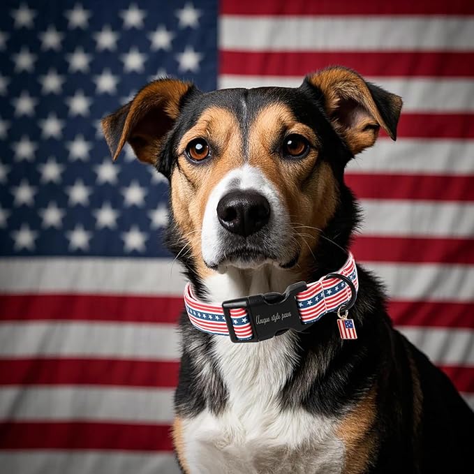 Unique style paws Dog Collar Plastic Buckle with Pendant Red Striped Star Puppy Collars for Small Medium Large Boys Girls Dogs