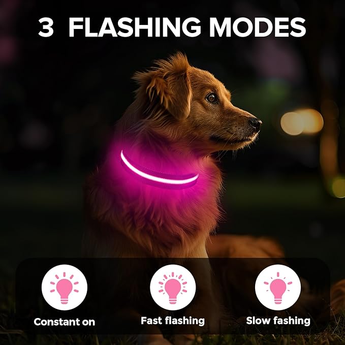 Led Dog Collar for Night Walking,Rechargeable Light Up Dog Collar Led Color,Glow in The Dark Dog Collars Waterproof for Small Medium Large Dogs (Pink, Medium)