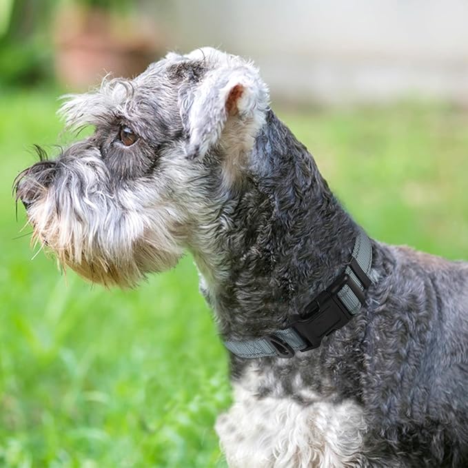 Joytale Reflective Dog Collar,Soft Neoprene Padded Breathable Nylon Pet Collar Adjustable for Small Dogs,Gray,S