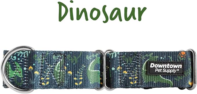 Downtown Pet Supply - Martingale Collar for Dogs - Dog Training Collar - Big, Wide & Thick Dog Collar - Escape-Proof, Weatherproof, Durable and Comfortable - Dino - Small Dog Collar