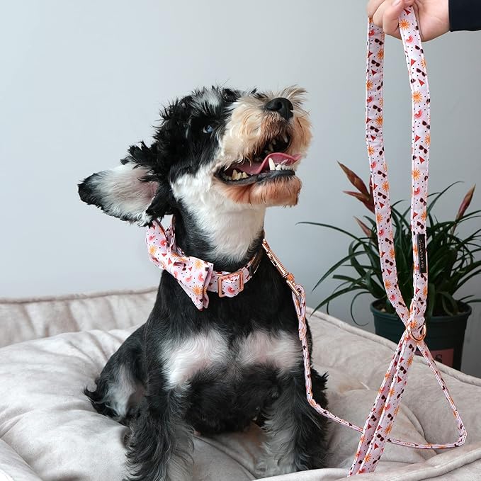 ARING PET Summer Dog Collar-Adorable Dog Collar with Bow, Adjustable Cotton Sun Bowtie Dog Collars Pet Collars with Metal Buckle