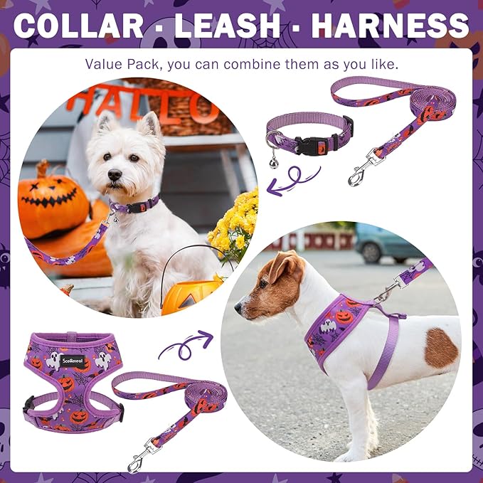 SCENEREAL Small Dog Harness Collar and Leash Set, Adjustable No Pull Pet Harnesses, No Chock Soft Mesh Step in Vest Halloween Costume for Doggie Puppy Dogs Cats Girl Boy Outdoor Walking