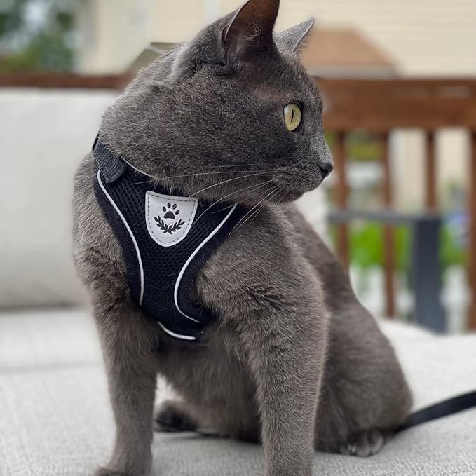 PUPTECK Cat Harness and Leash Set Escape Proof Reflective Cat Walking Harness Adjustable Soft Breathable Mesh Vest for Small Pets, Black, XS