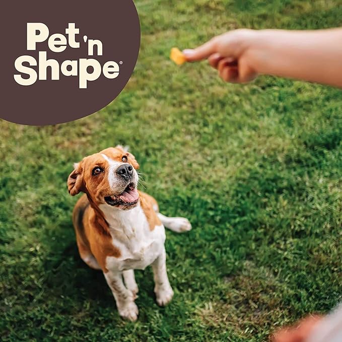 Pet 'n Shape Long Lasting Chewz Dog Treats - Chicken Wrapped Rawhide - 1 Bone, 6-Inch Long