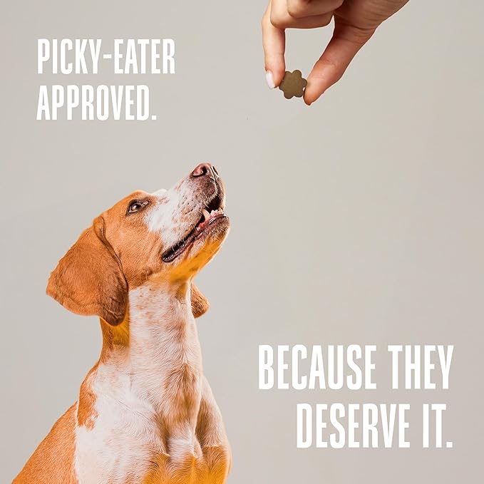 Whole Life Dog Living Treats for Dogs – Human Grade Probiotics for Digestive & Gut Health, Gas, Diarrhea, Vomit & Constipation Relief, Health Supplies - Peanut Butter, 12 oz (Pack of 1)