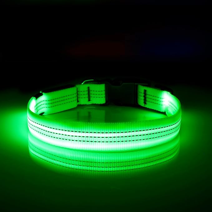 Illumifun LED Dog Collar, Rechargeable Light Up Collars, Reflective Safety Collar Light for Nighttime Walking Camping (Greenā
¢, Medium)