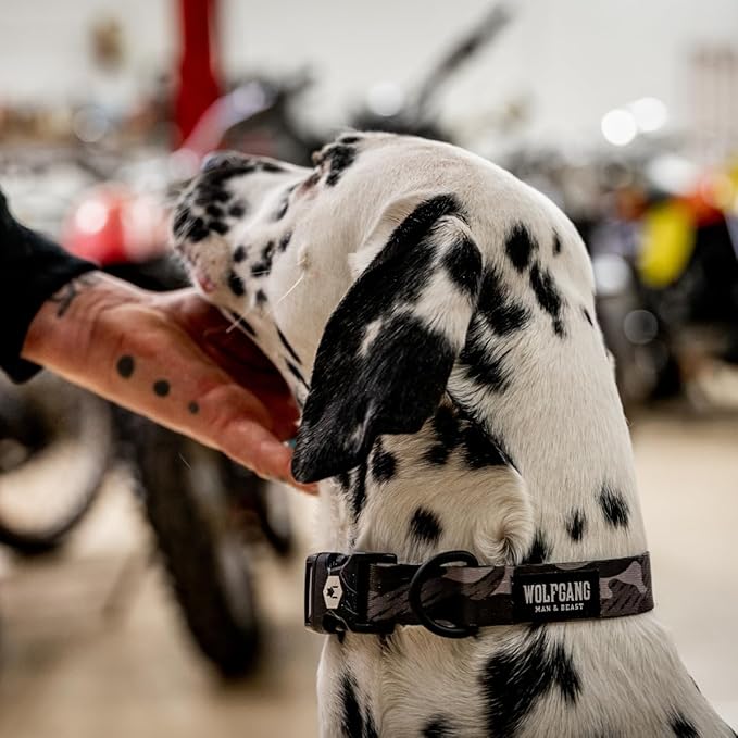 Wolfgang Heavy Duty Martingale Dog Collar with Quick Release Nylon Buckle for Walking & Training, DarkSkies Print, Small