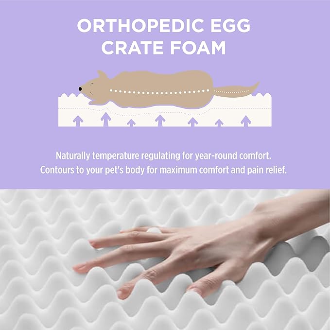 Lesure Outdoor Waterproof Dog Crate Bed Large Sized Dog, Orthopedic Egg Crate Foam Pet Bed with Oxford Fabric Surface and Removable Washable Cover, Pet Mat 35''x22'', Green
