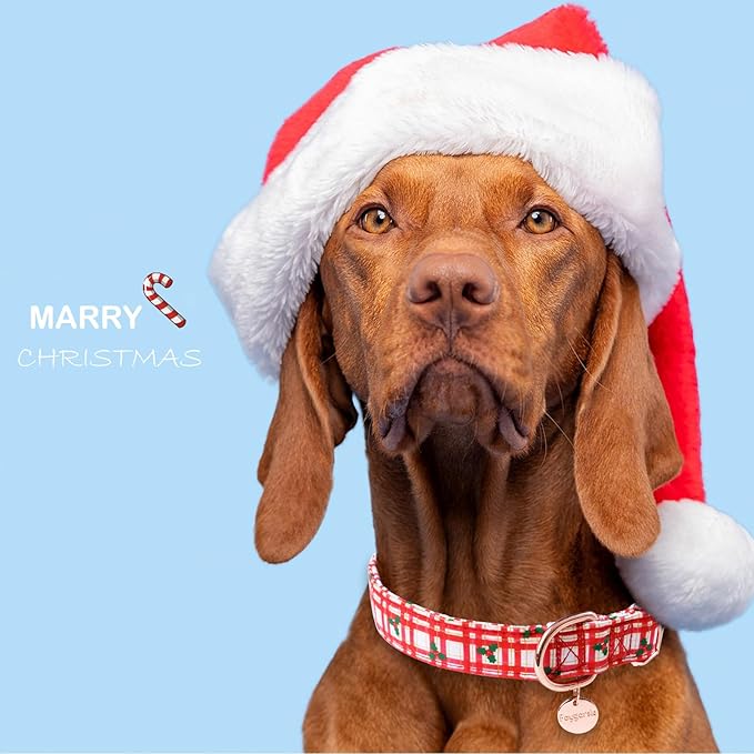 Faygarsle Christmas Red Plaid Pattern Dog Collar for Small Medium Large Dogs Cute Puppy Collars for Female Dogs for Summer Spring Wedding Necklace Girl Dog Collar M