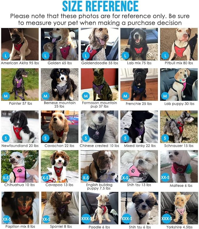 SlowTon Dog Seat Belt Harness for Car, Dog Car Harness Adjustable Mesh Breathable & Dog Seatbelt Safety Tether with Elastic Bungee for Small Medium Large Pets(Blue, Double Clip, S)