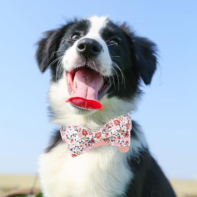 Dog Collar with Bow Tie,Flower Bow Dog Collar with Adjustable Buckle,Cotton Floral Puppy Collar for Small,Medium,Large Dogs
