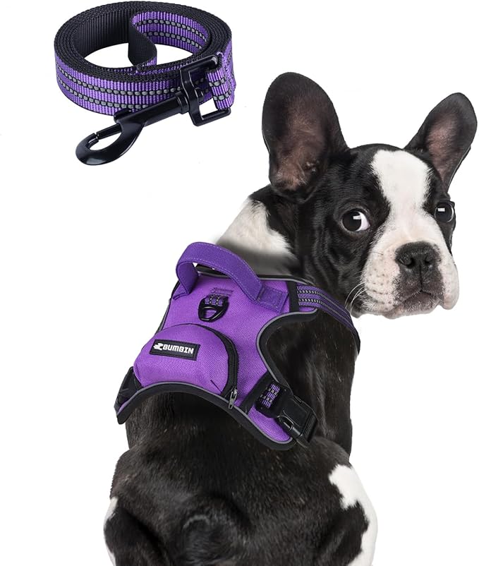 BUMBIN Dog Harness for Large Dogs, No Pull Adjustable No Choke Pet Vest with Dog Leash Fit Smart Reflective Pet Walking Harness for Training Easy Control Soft Handle Purple L
