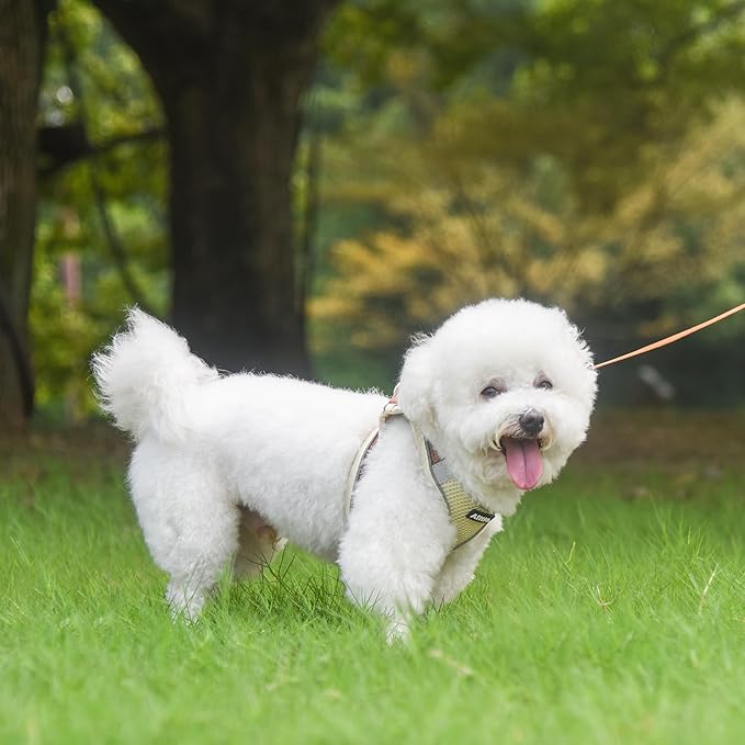 AIITLE Step in Dog Harness and Leash Set - Spring No Pull Escape Proof Vest Harnesses with Soft Mesh and Reflective Bands, Adjustable Pet Outdoor Harnesses for Small and Medium Dogs Beige M