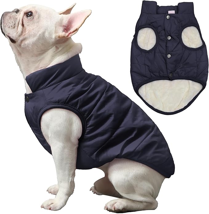 2 Layers Fleece Lined Warm Dog Jacket for Winter Cold Weather,Soft Windproof Medium Dog Coat,Blue XL