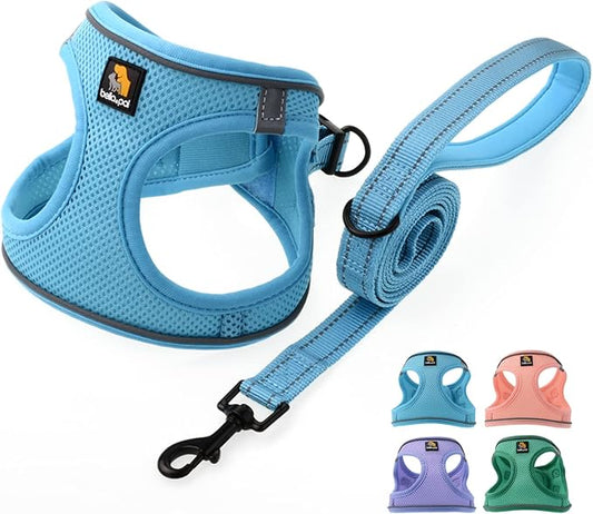 BELLA & PAL Puppy Harness With Leash Set, No Pull for Small Dogs, Step in Harness for Extra Small Dogs, Blue, L