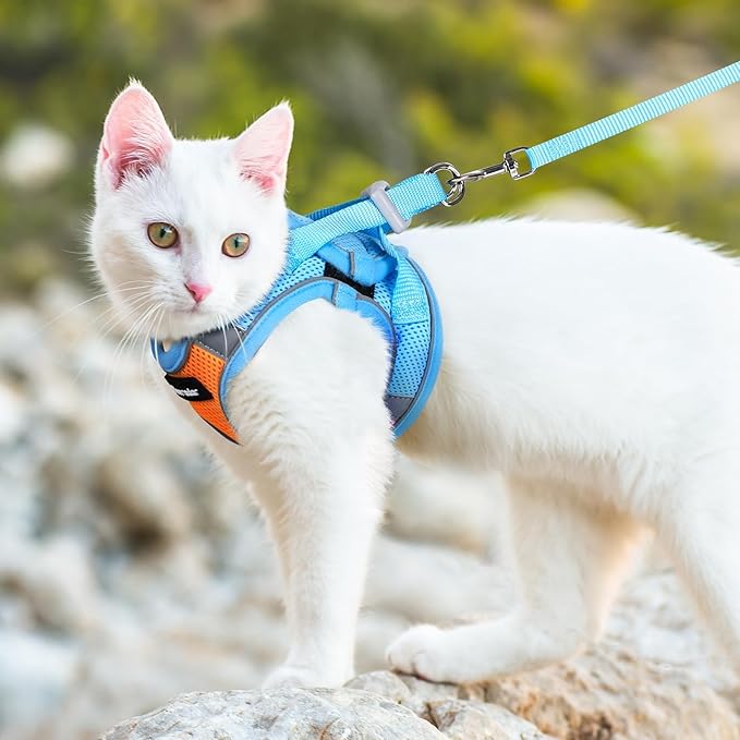 Dooradar Cat Harness and Leash Set, Escape Proof Lightweight Kitten Harness, Soft Breathable Reflective Vest for Outdoor Walking Traveling, Adjustable for Small Cats, Orange & Blue, S
