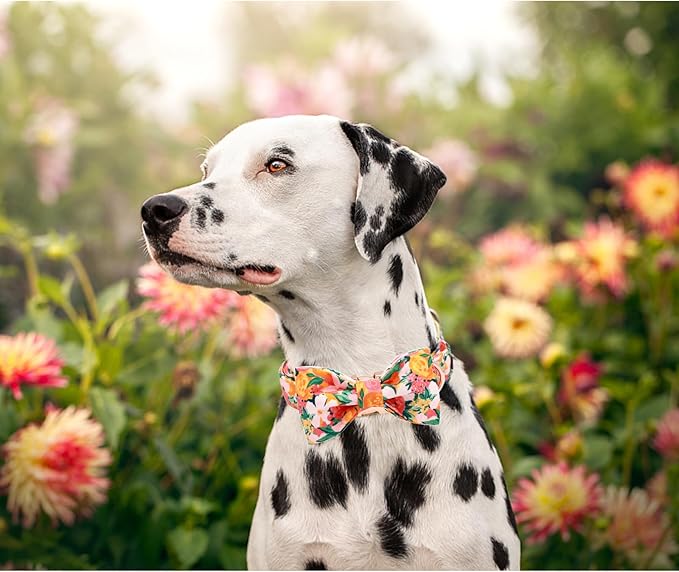 Lionheart glory Premium Floral Dog Collars, Bowtie Dog Collar, Adjustable Heavy Duty Girl Dog Collar with Bow for Large Dogs