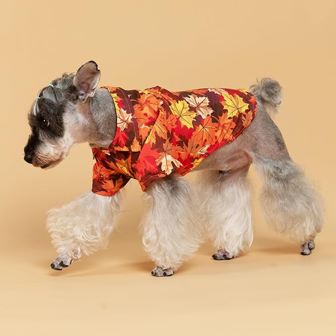 PUPTECK Dog Shirt, Cute Puppy Cat Polo T-Shirt, Soft Pet Clothes Boy Girl Outfit for Small Medium Sized Dogs, Costume Fall Leaves S
