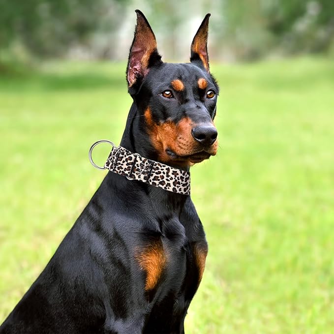 1.5 Inches Martingale Collar for XL Dogs,Wide Adjustable Heavy Duty Training Collars with Leopard Pattern,No Slip Dog Collar Perfect for Training,Walking, Hunting(Leopard XL)
