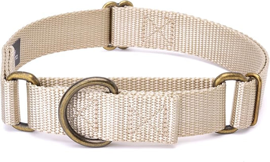 Country Brook Petz Martingale Dog Collar - Heavy-Duty Training Collar with No Buckle - Service Dog Collar for All Pups - Vibrant, Colorful Collection (Almond, 3/4 Inch, Small)