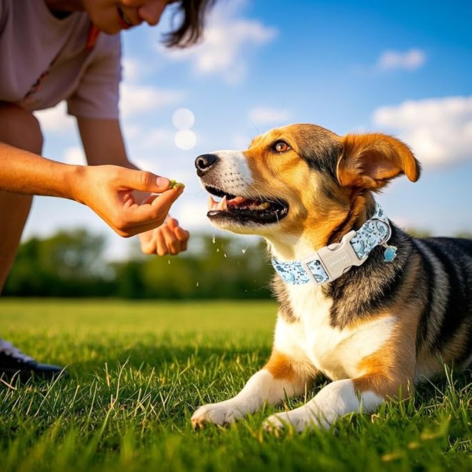 ARING PET Dinosaur Dog Collar-Cute Spring Blue Dog Collars, Adjustable Dinosaurs Print Pet Collars Puppy Collar with Quick Release Buckle