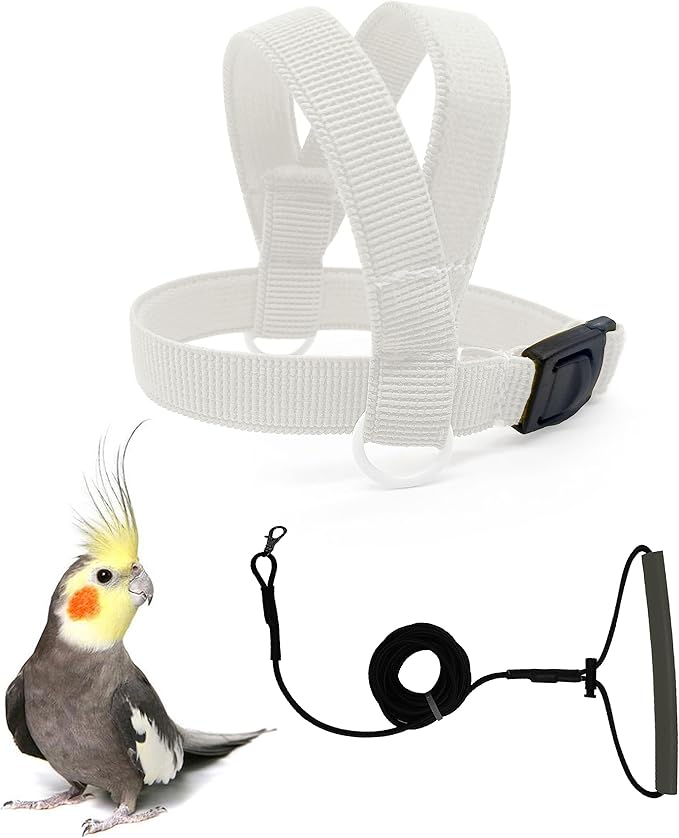 Bird Harness with Buckle Clip and A Leash, Outdoor Flying Kit for Bird Parrots Cockatiel S Size Weight 85-105 Grams, White