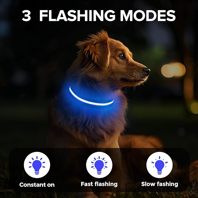 Led Dog Collar for Night Walking,Rechargeable Light Up Dog Collar Led Color,Glow in The Dark Dog Collars Waterproof for Small Medium Large Dogs(Blue, Medium)