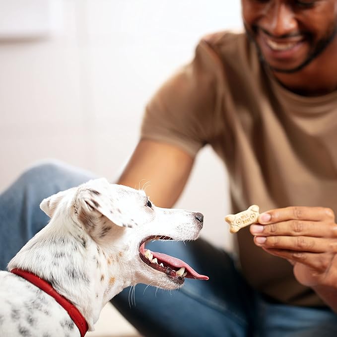 Milk-Bone Original Dog Treats Biscuits for Medium Dogs, 24 Ounces (Packaging May Vary)