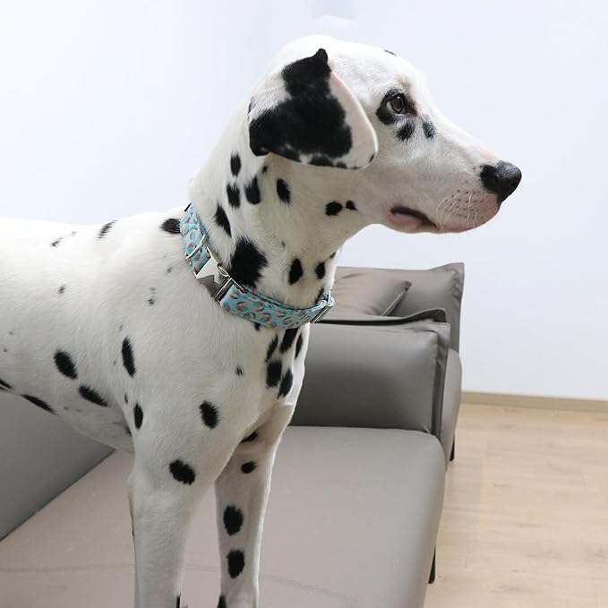 Lionet Paws Boy Dog Collar, Comfortable Adjustable Cute Sea Lion's Ball Collar with Metal Buckle for Male Puppies and Cats,XS, Neck 8-12 inches